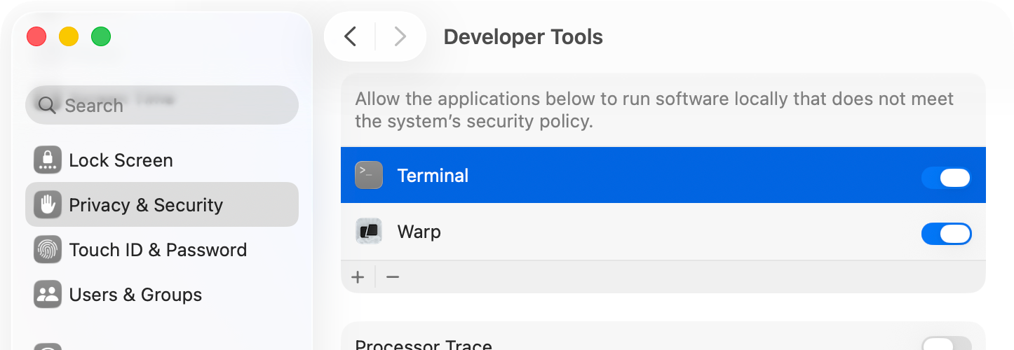 Screenshot of macOS System Settings showing the Developer Tools options